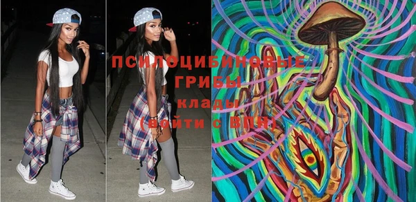 мдпв Горно-Алтайск