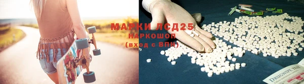 мдпв Горно-Алтайск