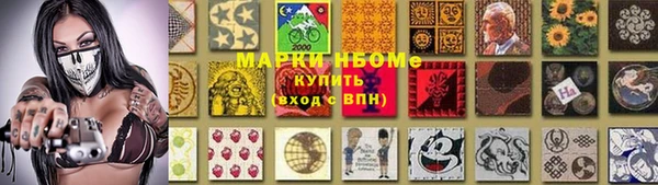 мдпв Горно-Алтайск