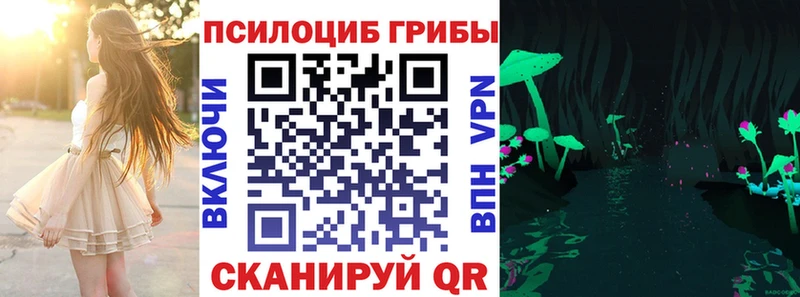 Галлюциногенные грибы мухоморы omg вход Абакан