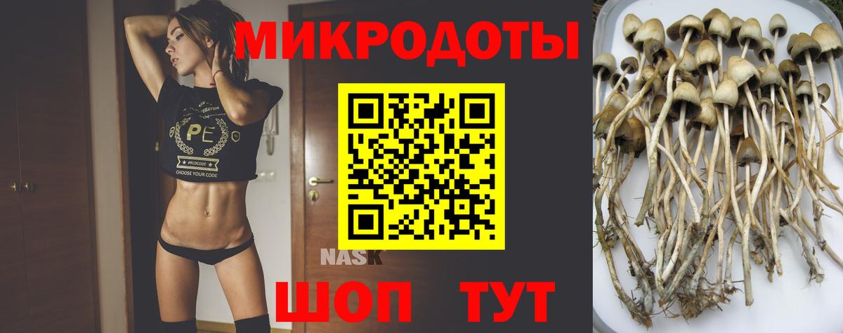 Псилоцибиновые грибы мицелий  Вход с VPN  Галлюциногенные грибы мицелий  Абакан 