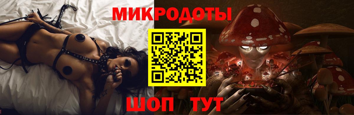 Галлюциногенные грибы мухоморы Абакан